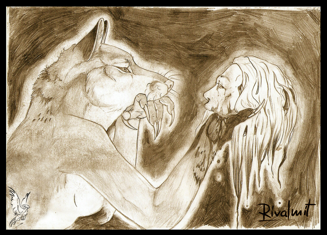 digital drawing drawing fox blood  What if 