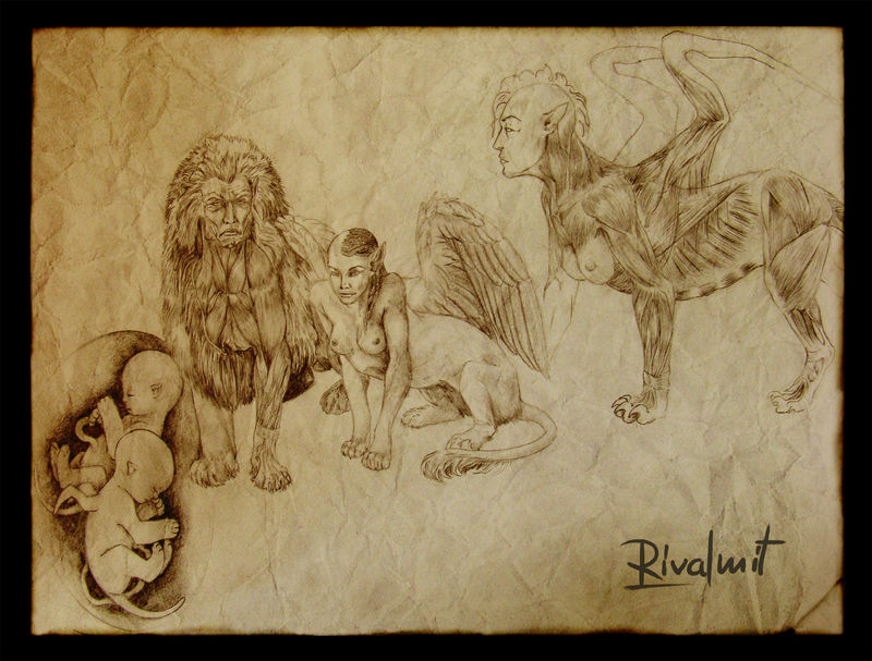 drawing anatomy sphinx mythology anthropomorphic Drawings Sphinx anatomy Drawings