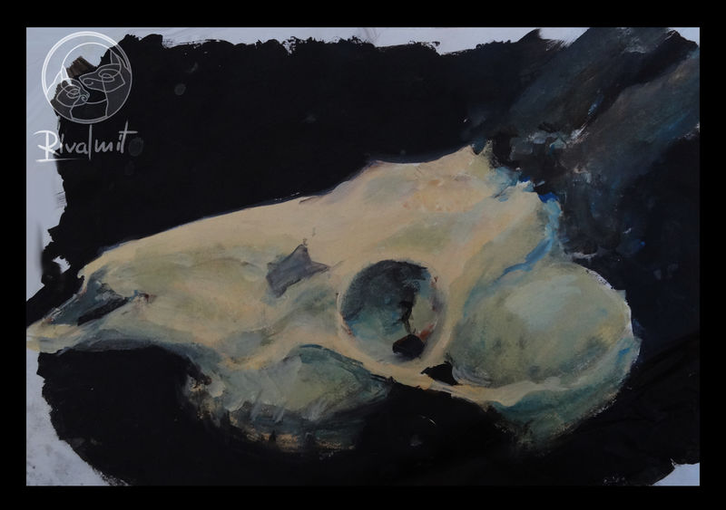 painting acrylic skull deer elk Paintings skulls Paintings