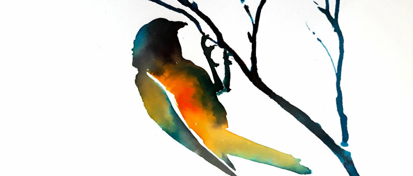 Bird bird ink