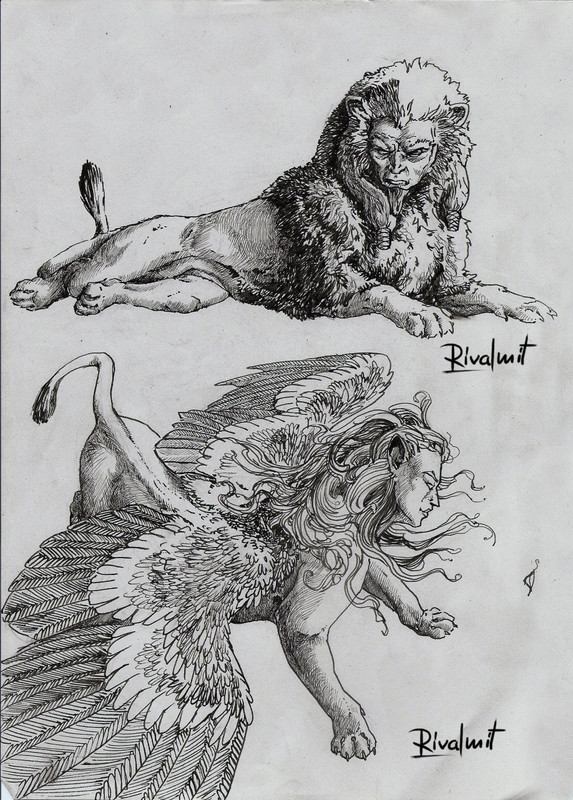 drawing sphinx mythology lineart  Sphinx