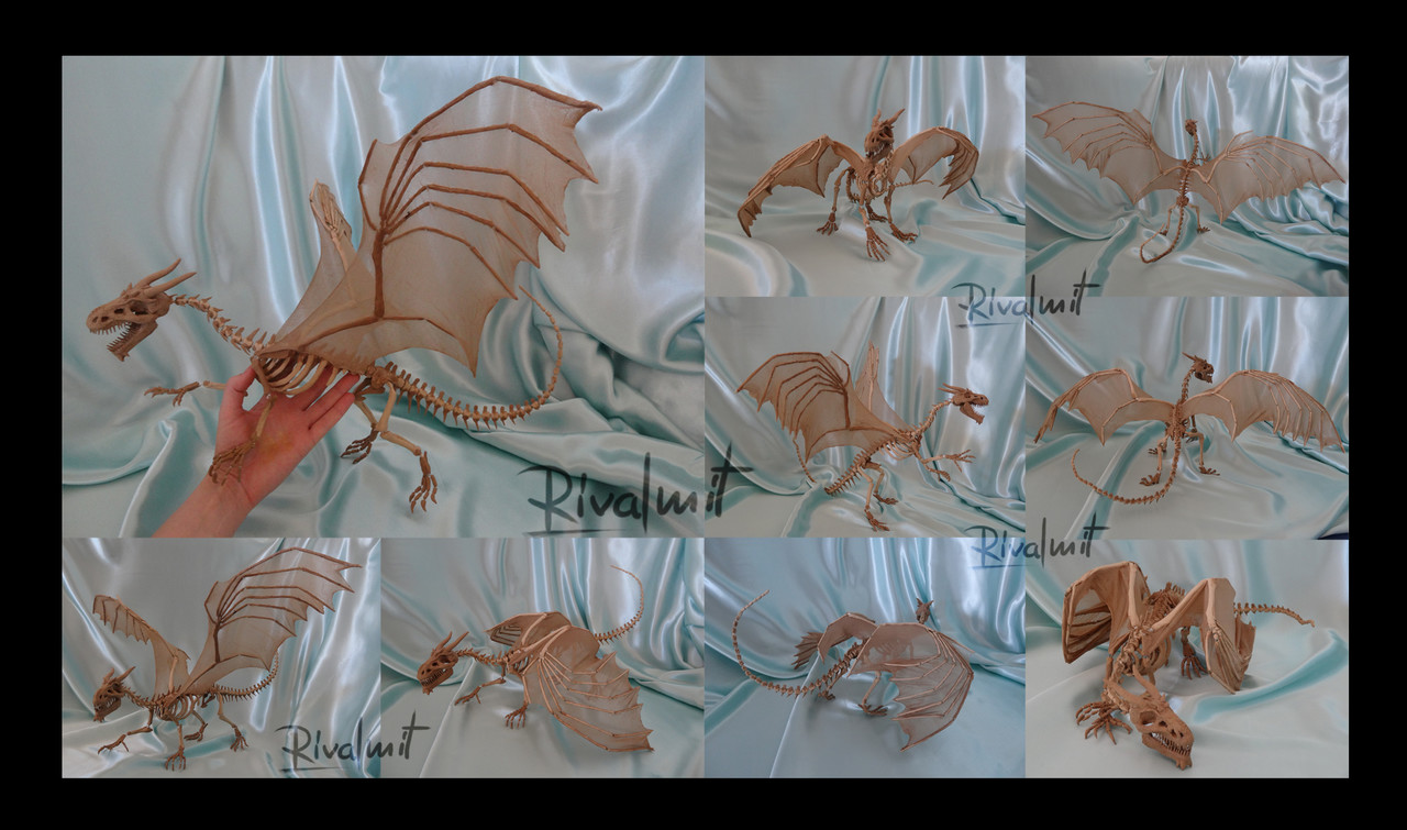 sculpture skull dragon  Skeleton