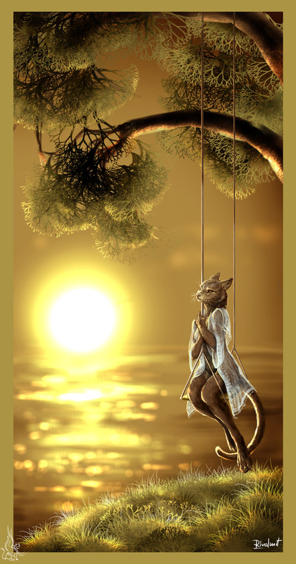 cat sunset waiting anthropomorphic Time for yourself