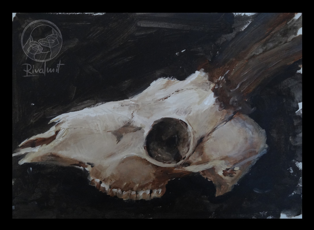 painting acrylic skull deer elk skulls