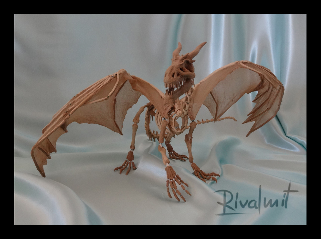 sculpture skull dragon  Skeleton