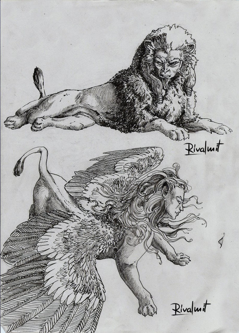 drawing sphinx mythology lineart Drawings  Sphinx Drawings