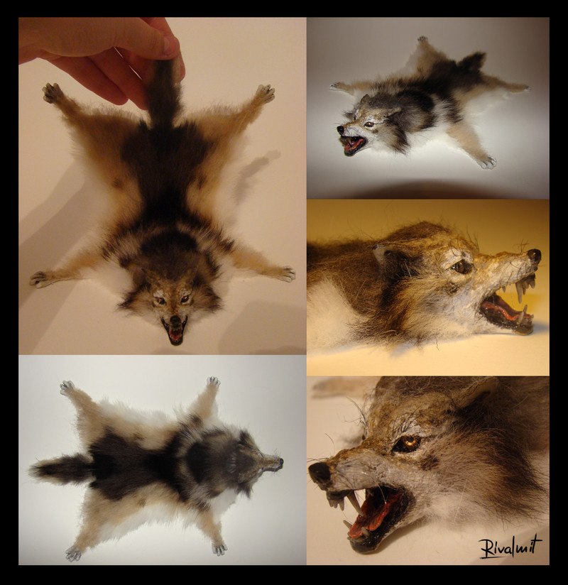 wolf rug pelt miniature carpet sculpture Sculptures Miniature wolf pelt rug Sculptures
