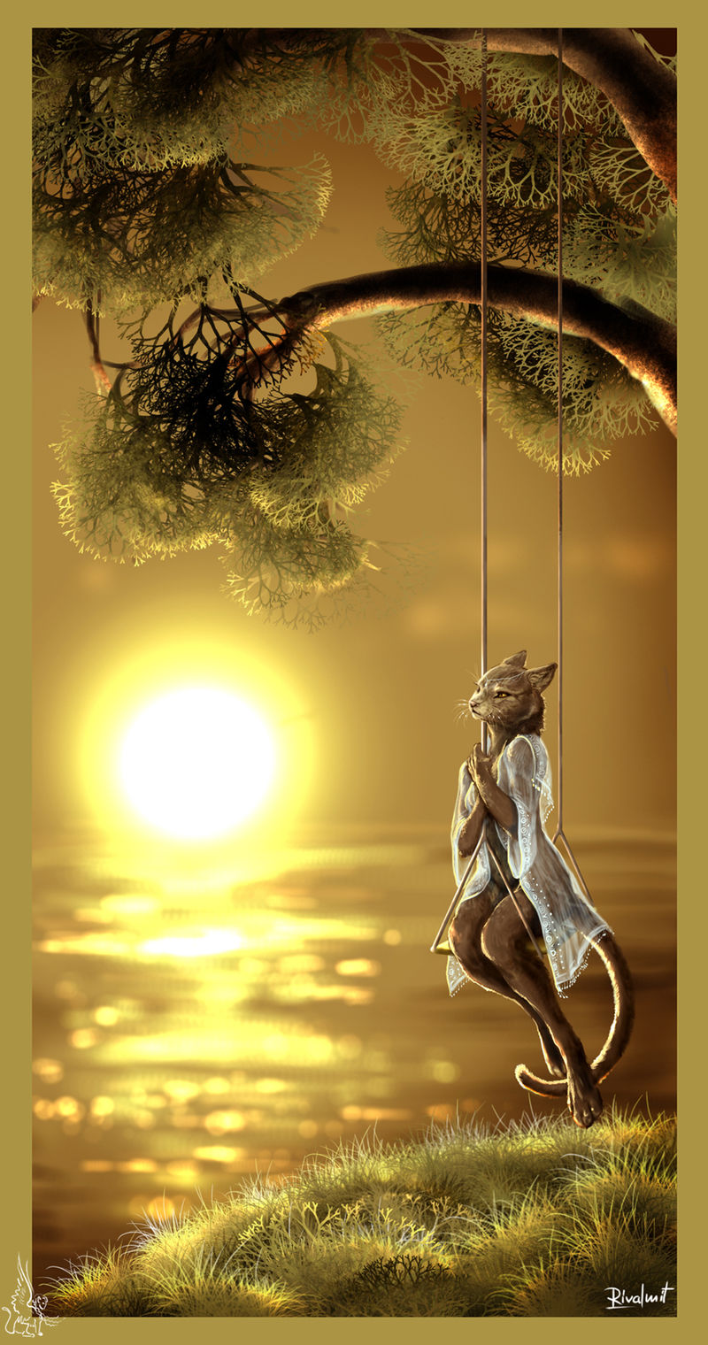 cat sunset waiting anthropomorphic Digital Drawings Time for yourself Digital Drawings