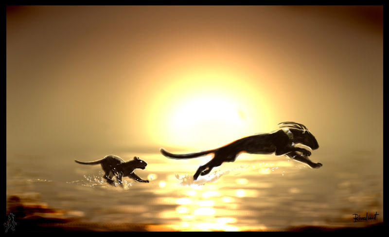 jaguar digital digital painting sunset sea Digital Drawings Careless days Digital Drawings