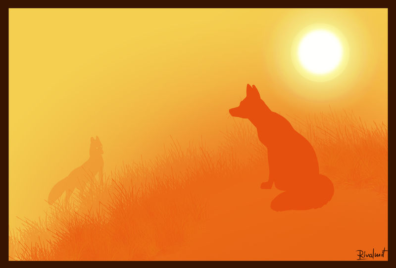digital digital drawing fox contrast sunset Digital Drawings Brief encounters Digital Drawings