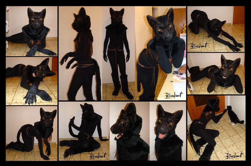 cat costume fursuit Other  Cat costume  Other
