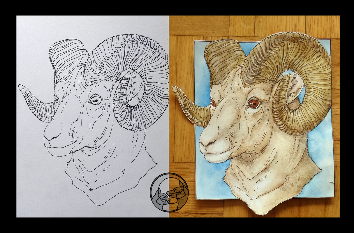 drawing bear ram sheep great dane dog watercolour Badges 