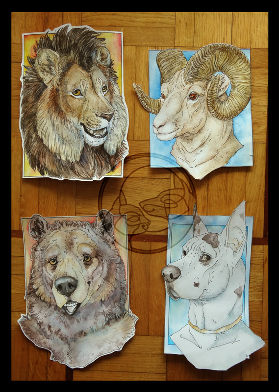 drawing bear ram sheep great dane dog watercolour Badges 