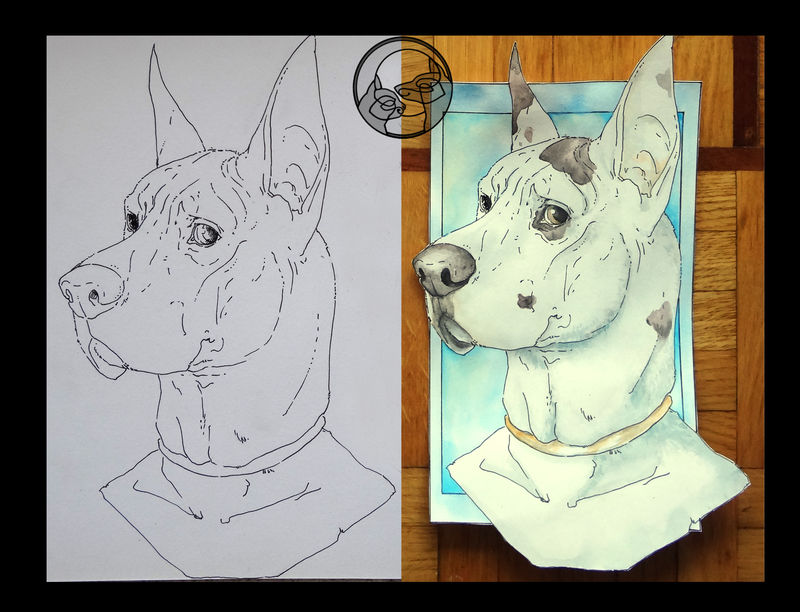 drawing bear ram sheep great dane dog watercolour Drawings Badges  Drawings