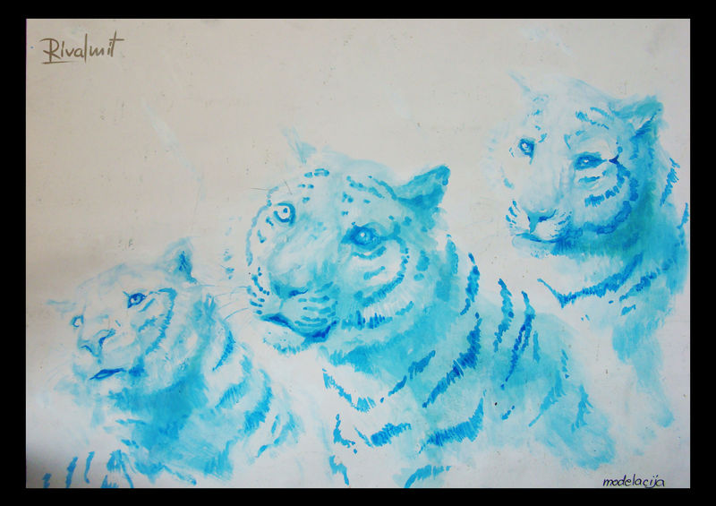 drawing acrylic tiger Drawings Wild Spirits Drawings