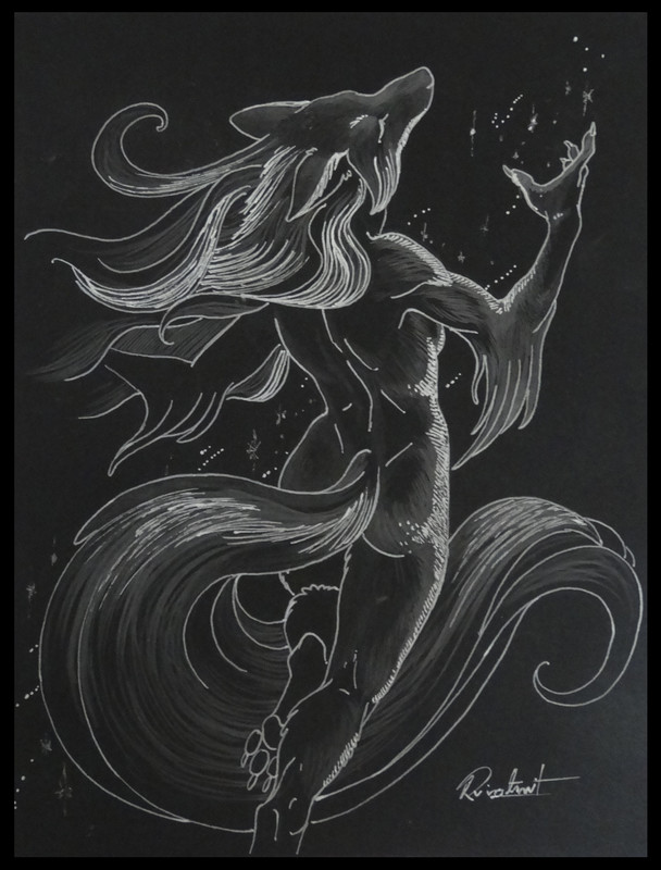 drawing gel pen wolf cat fox anthropomorphic Black lineart