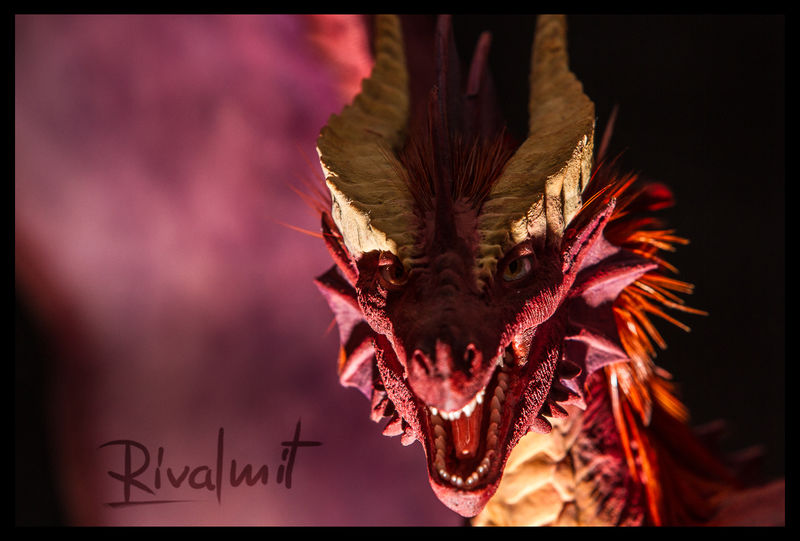  Companion Large dragon Akulatraxas sculpture companion dragon