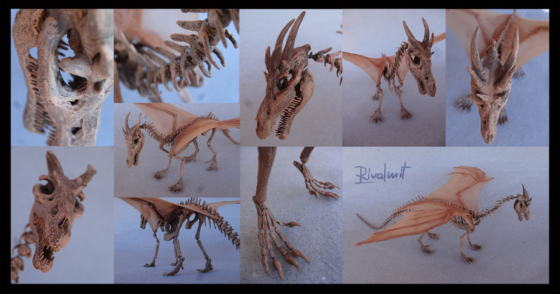 sculpture dragon skull poseable ef eurofurence ef22 skeleton death Sculptures After death dragon Sculptures