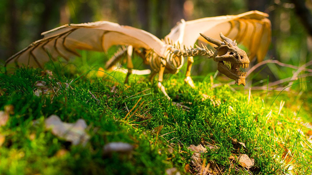 poseable dragon skeleton sculpture death  Living Skeleton Dragon 