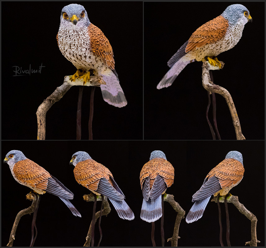 kestrel companion bird sculpture Kestrel