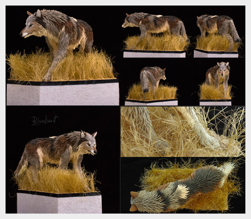 Finding your way  wolf sculpture