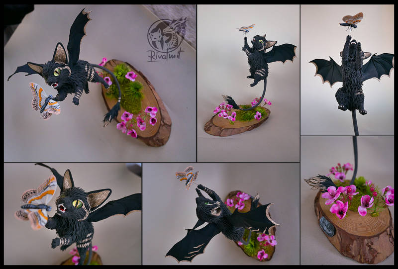 Bat kitty #13 Butterfly Jump sculpture art cat felinae bat batkitty