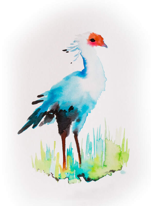 animal bird secretary Animals Secretary  Animals