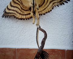 Muzafr Companion  sculpture commission artwork balanced companion dragon 
